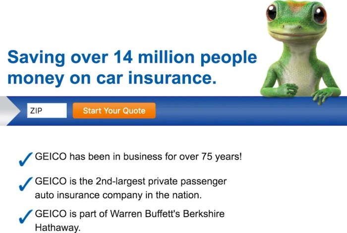 Geico GEICO car insurance quote for low mileage