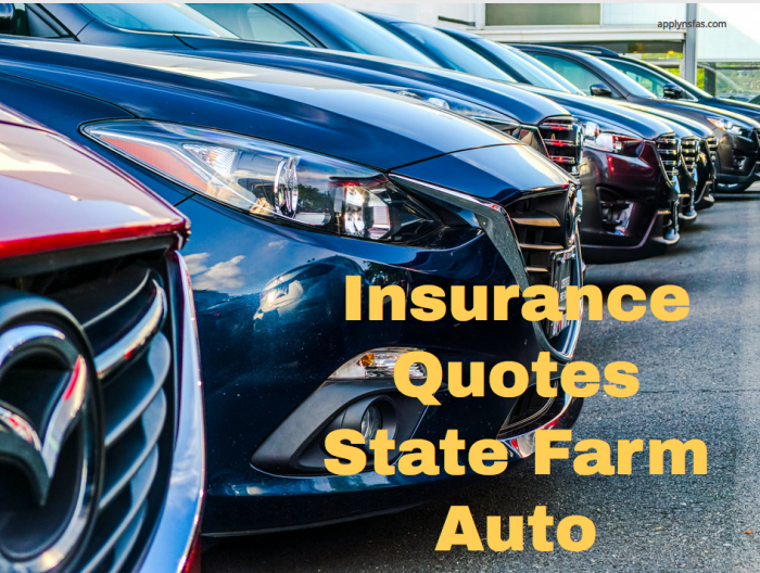 Renters claims Auto insurance quote State Farm